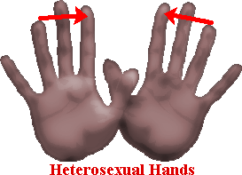 Fig. 1.: Heterosexual Hands